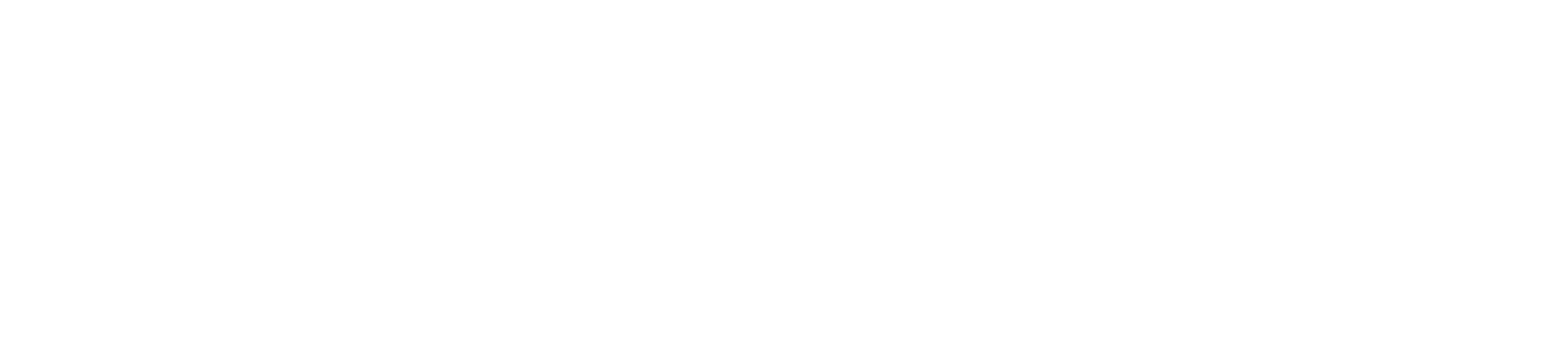 BeeBid: gestione sito aste