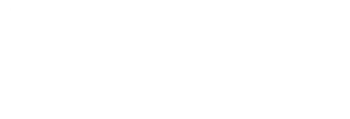 Digitalitis For Your Business - gestionale auto e multipubblicatore